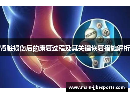 肾脏损伤后的康复过程及其关键恢复措施解析